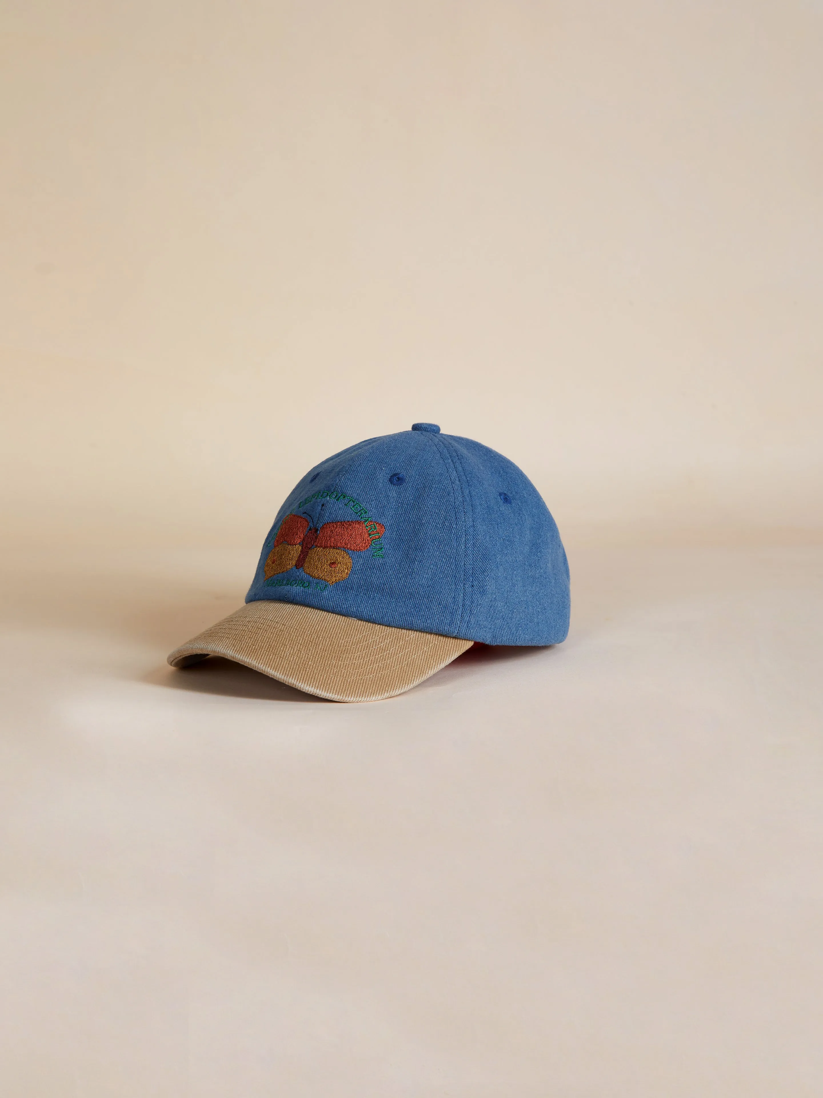 Butterfly House Denim Cap