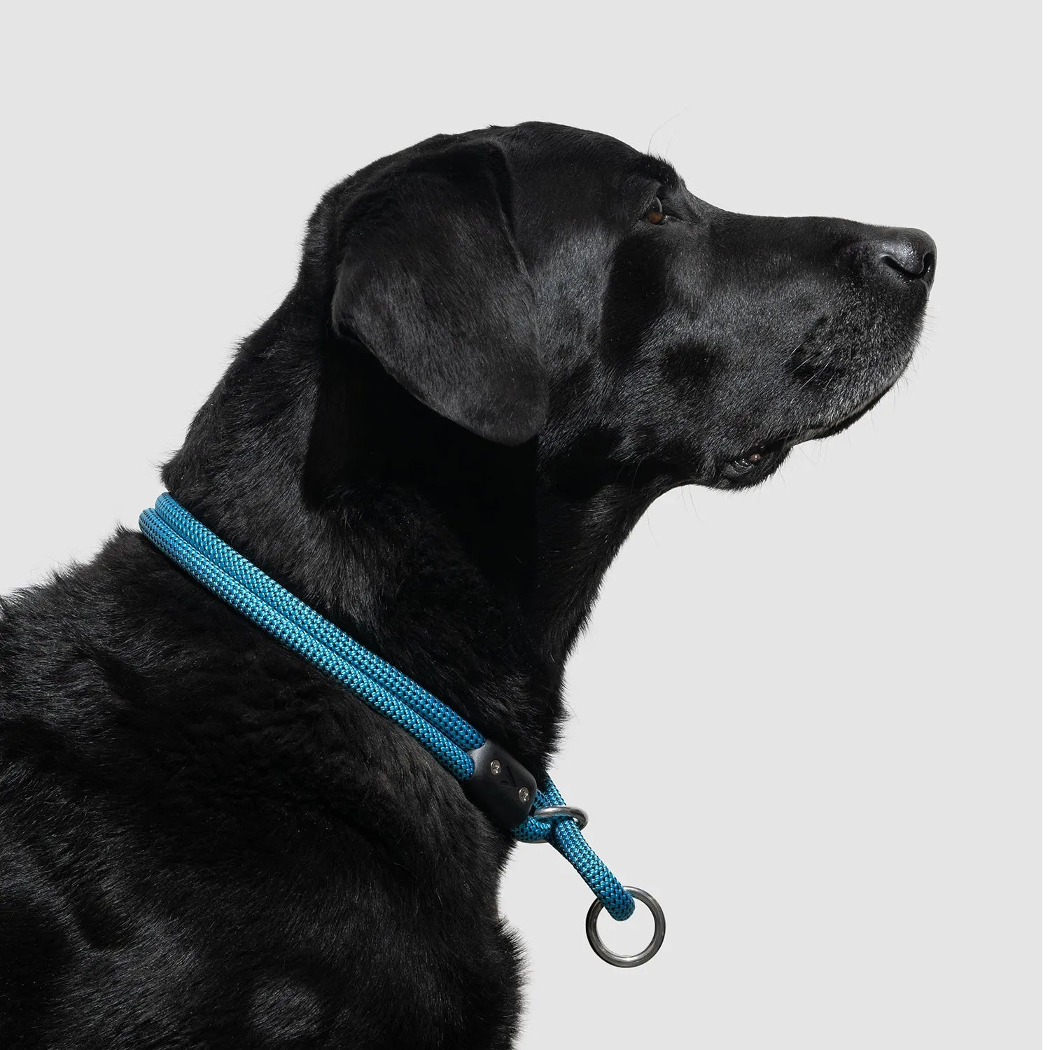 Lifetime Slip Collar